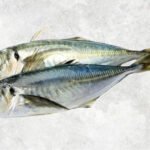 Frozen Round And Yellow Tail And Layang Scad Whole Round