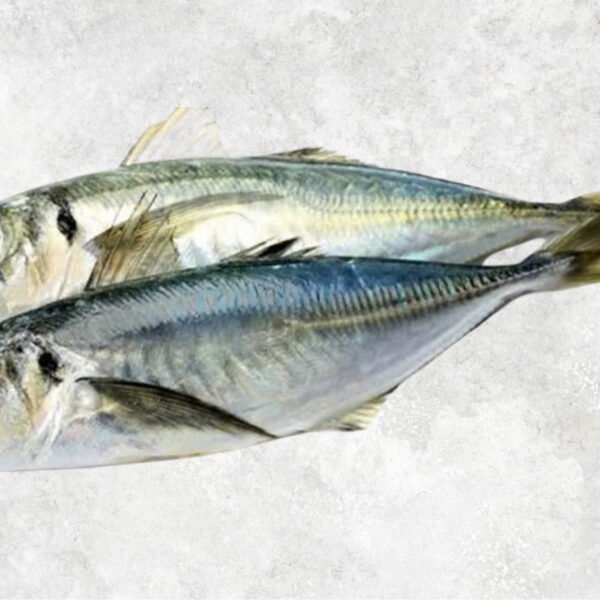 Frozen Round And Yellow Tail And Layang Scad Whole Round