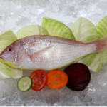 Frozen Sea Bream Surimi