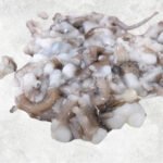 Frozen Small Cut Baby Octopus