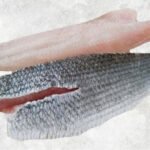 Frozen Snakehead Fish Fillet