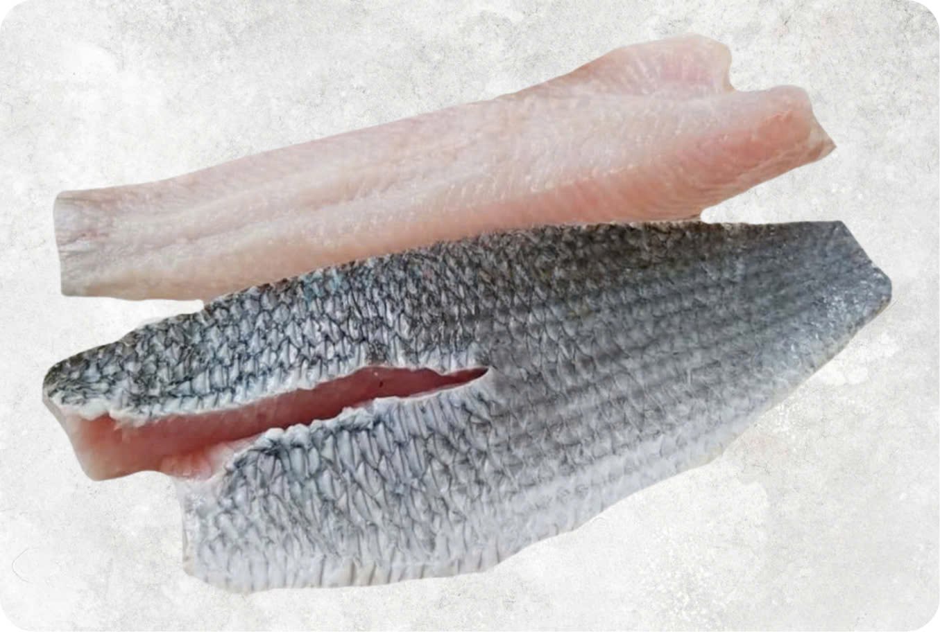 Frozen Snakehead Fish Fillet Frozen Snakehead Fish Fillet - Image 1