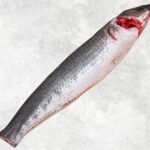 Frozen Snakehead Fish Whole Clean