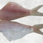 Frozen Threadfin Bream Fillet