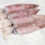 Frozen Whole Clean Loligo Squid