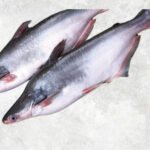 Frozen Whole Round Pangasius (Swai Fish)