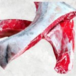 Frozen Yellowfin Tuna Kama, CO/ Non-Co treated