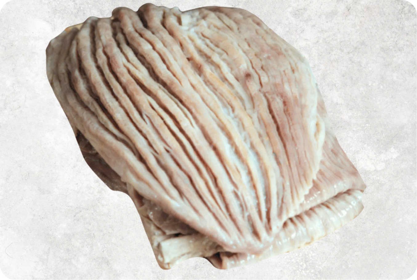 Frozen Yellowfin Tuna Stomach Frozen Yellowfin Tuna Stomach - Image 1